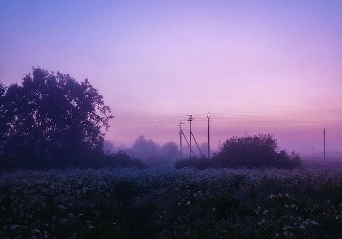 开奖公告-文班亚马64场踩线：再缺1场，MVP直接除名